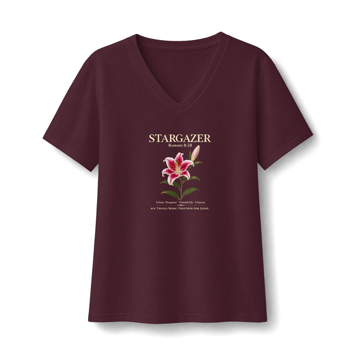 Stargazer Romans 8:28 V-Neck Tee