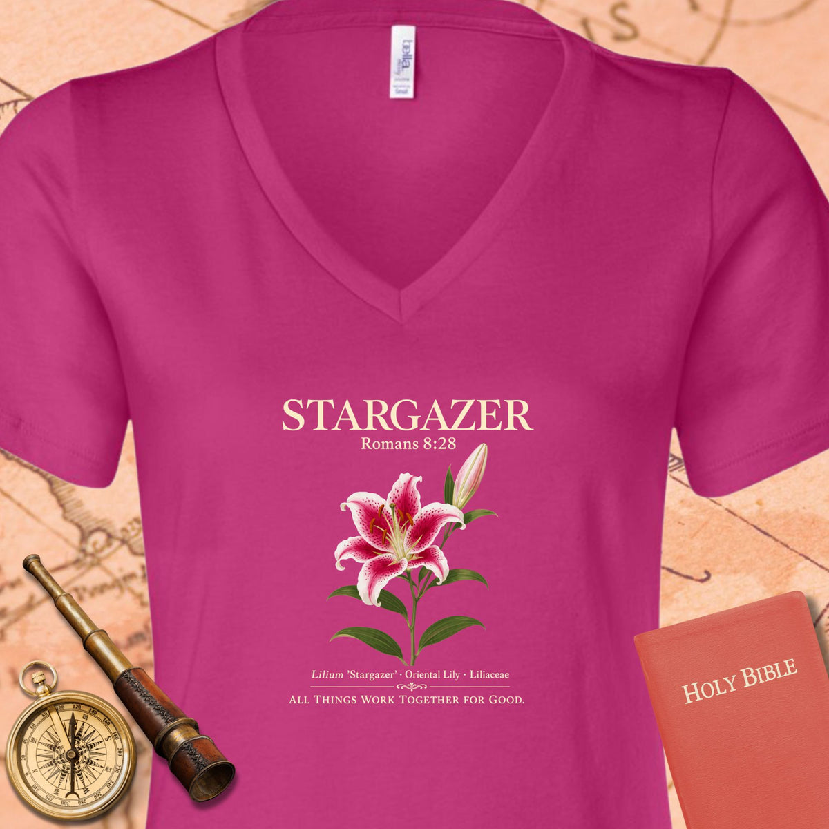 Stargazer Romans 8:28 V-Neck Tee