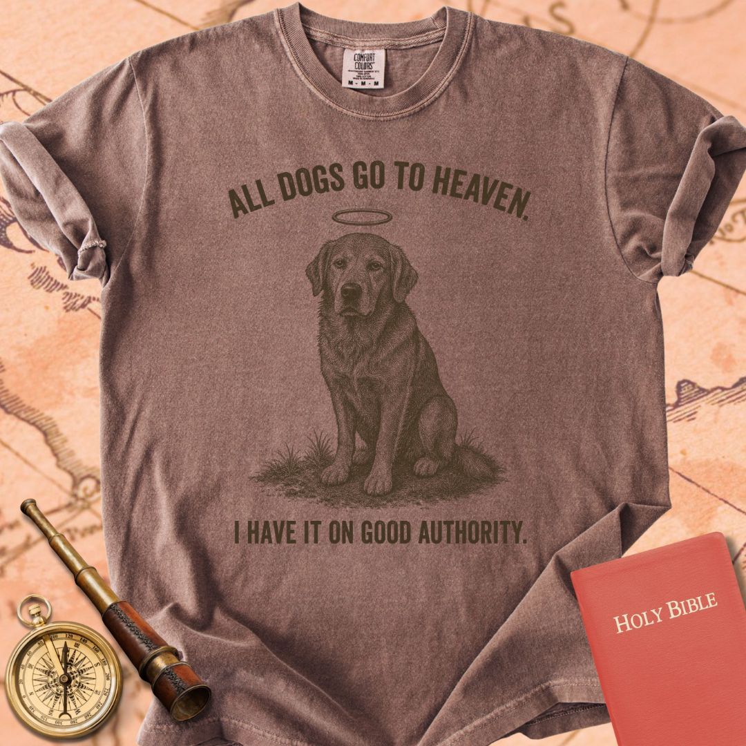 All Dogs Go to Heaven Premium T-shirt