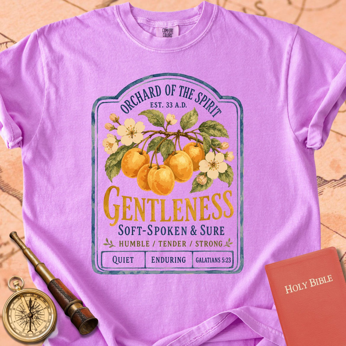 Gentleness — Fruit of the Spirit Premium T-shirt