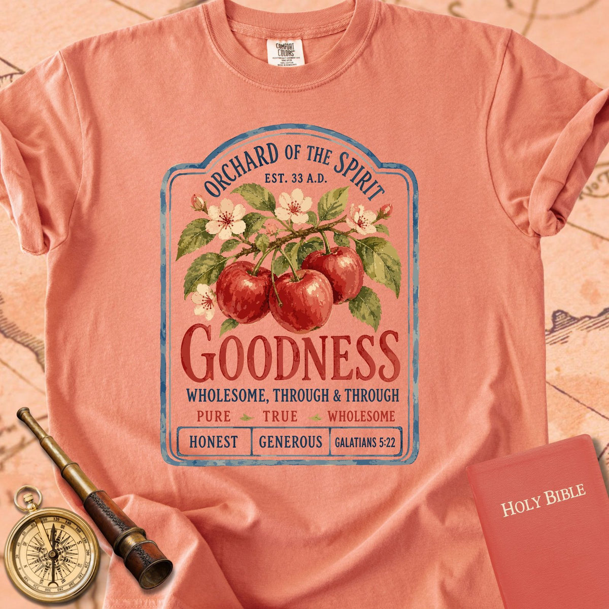 Goodness — Fruit of the Spirit Premium T-shirt