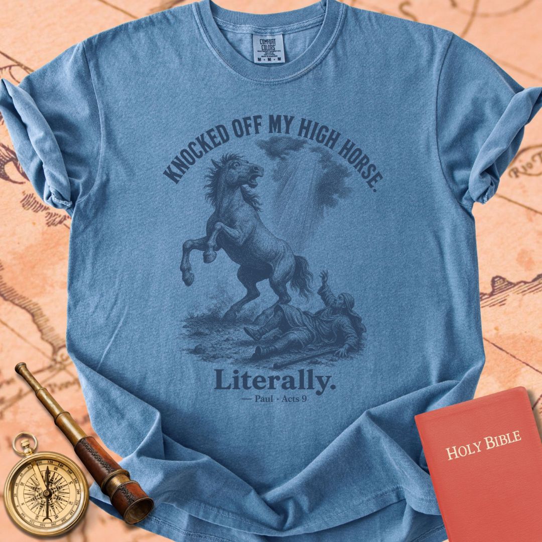 Knocked Off My High Horse (Literally) Premium T-shirt