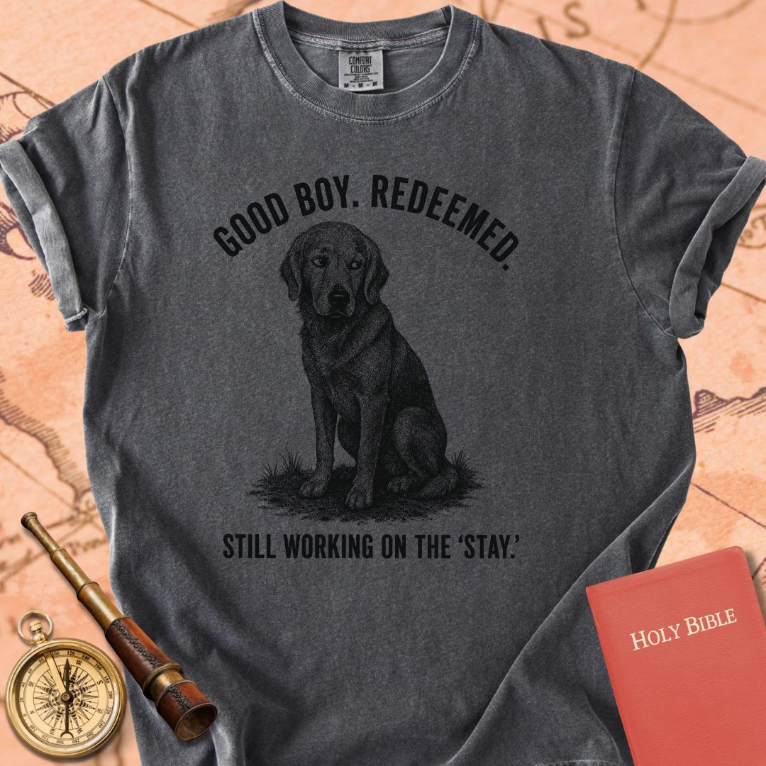 Good Boy. Redeemed. Premium T-shirt