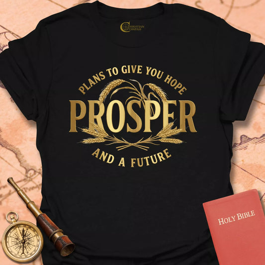 Prosper - Jeremiah 29:11 T-Shirt