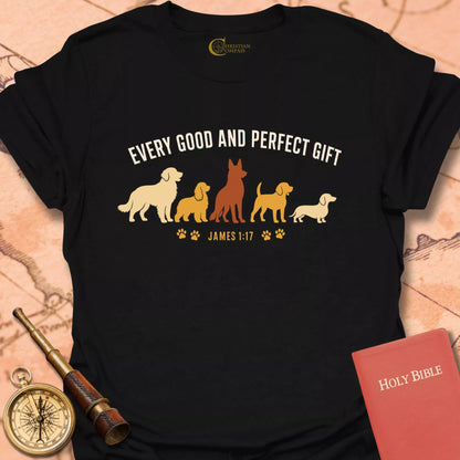 Every Good and Perfect Gift T-Shirt