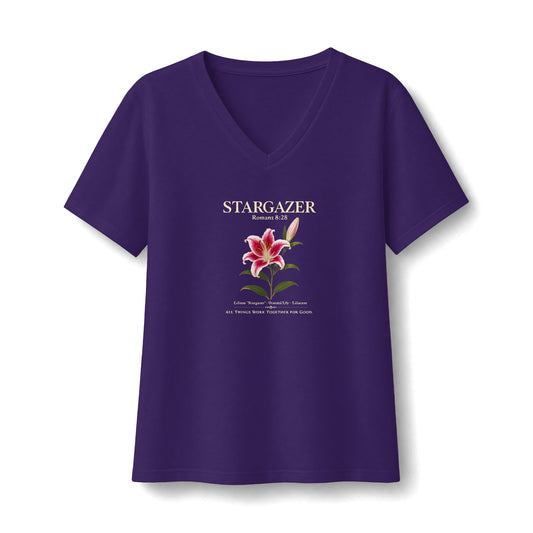 Stargazer Romans 8:28 V-Neck Tee