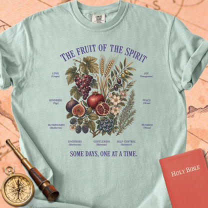 Fruit of the Spirit (Some Days, One at a Time) Premium T-shirt — Bay