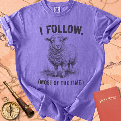 I Follow (Most of the Time) Premium T-shirt