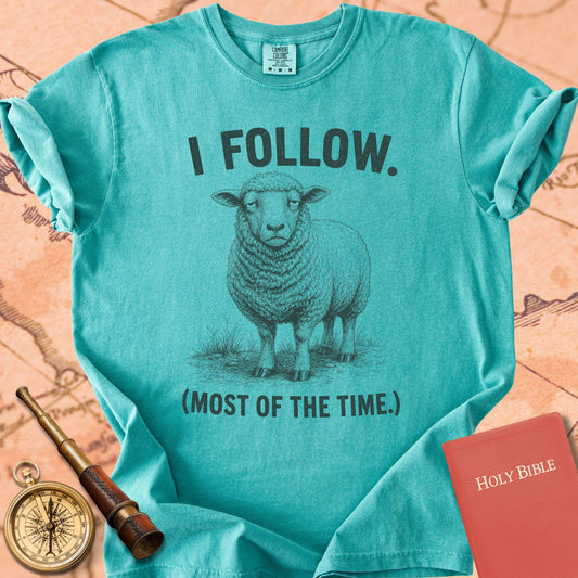 I Follow (Most of the Time) Premium T-shirt