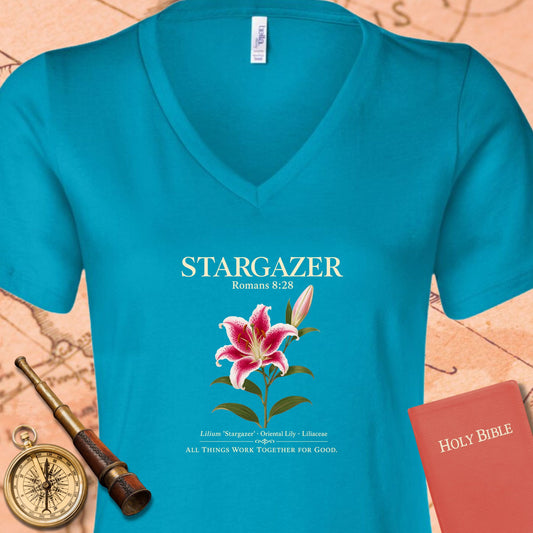 Stargazer Romans 8:28 V-Neck Tee