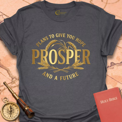 Prosper - Jeremiah 29:11 T-Shirt