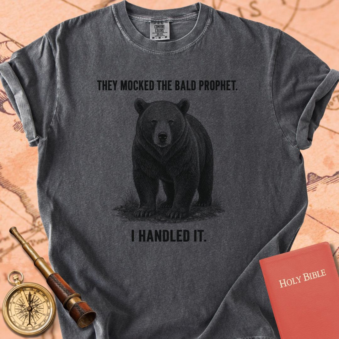 They Mocked the Bald Prophet (I Handled It) Premium T-shirt