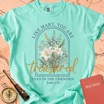 Like Mary, You Are Treasured Premium T-shirt