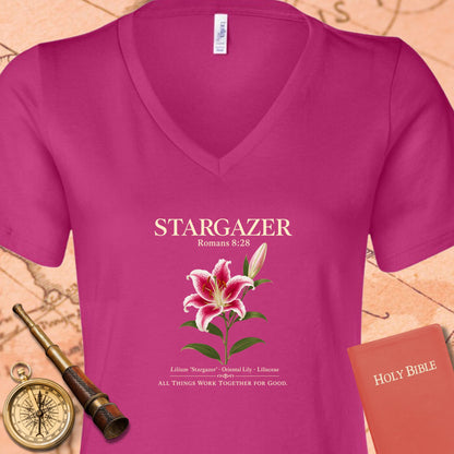 Stargazer Romans 8:28 V-Neck Tee