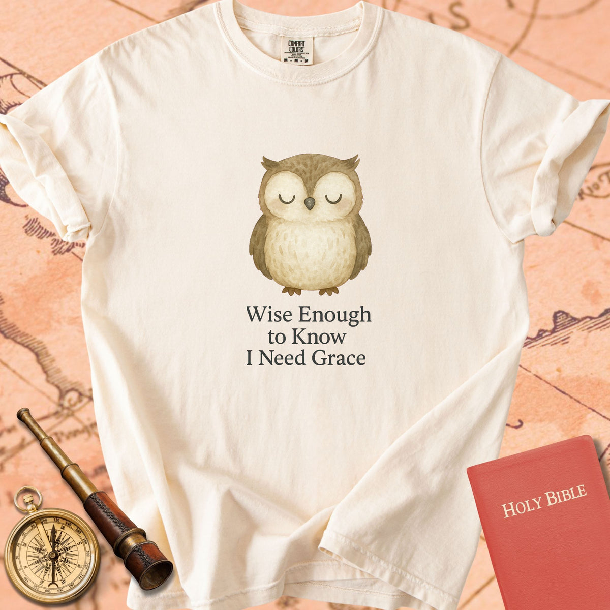 Wise Enough to Know I Need Grace — Cute Owl Premium T-shirt — Ivory Comfort Colors