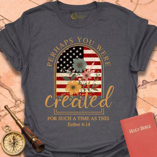 Perhaps You Were Created Flag T-Shirt