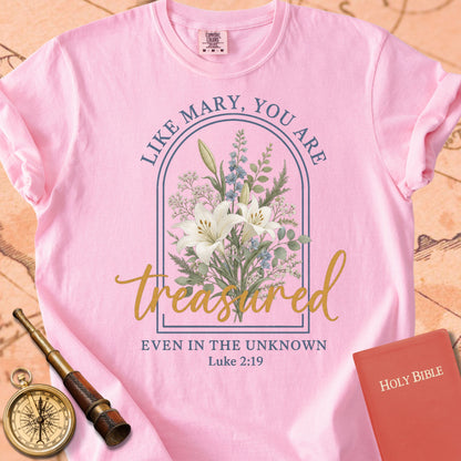 Like Mary, You Are Treasured Premium T-shirt