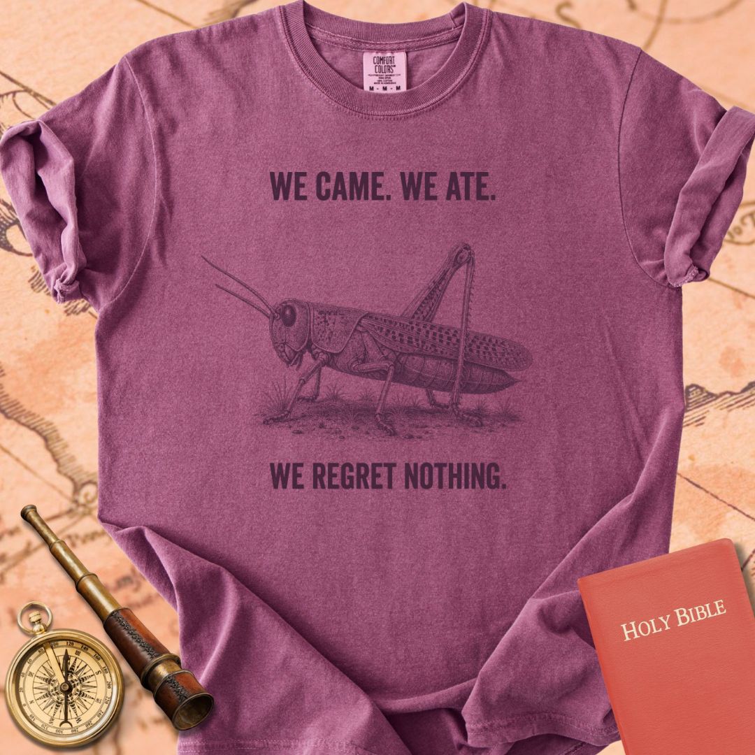 We Came We Ate We Regret Nothing Premium T-shirt