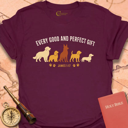 Every Good and Perfect Gift T-Shirt