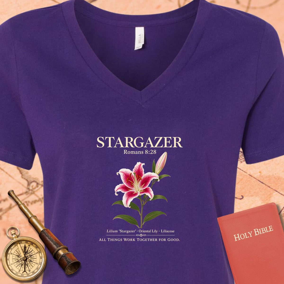 Stargazer Romans 8:28 V-Neck Tee