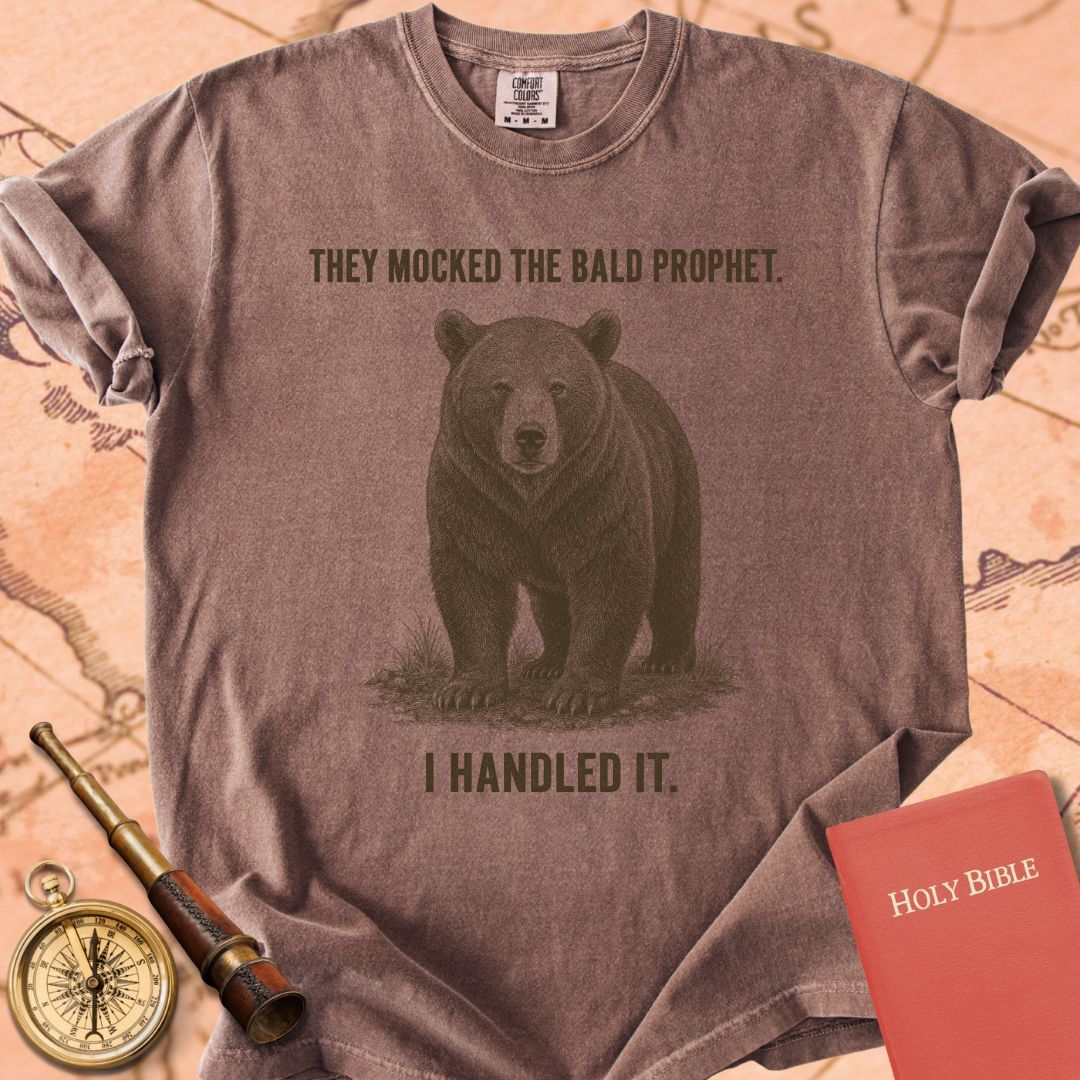 They Mocked the Bald Prophet (I Handled It) Premium T-shirt