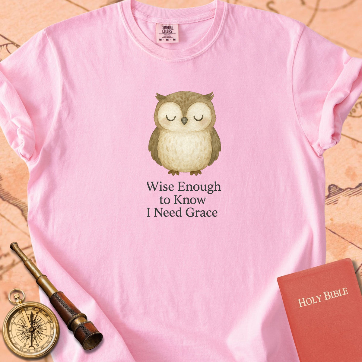Wise Enough to Know I Need Grace — Cute Owl Premium T-shirt — Blossom Comfort Colors