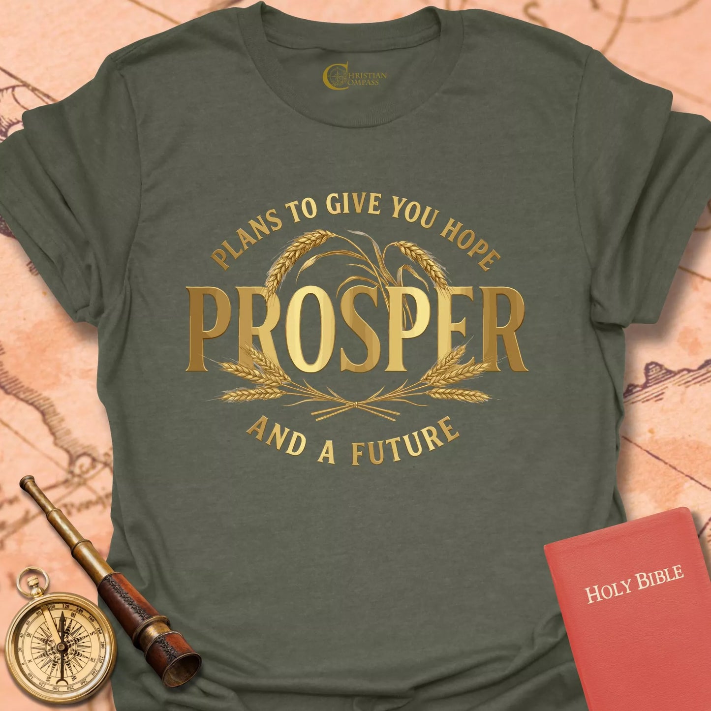 Prosper - Jeremiah 29:11 T-Shirt