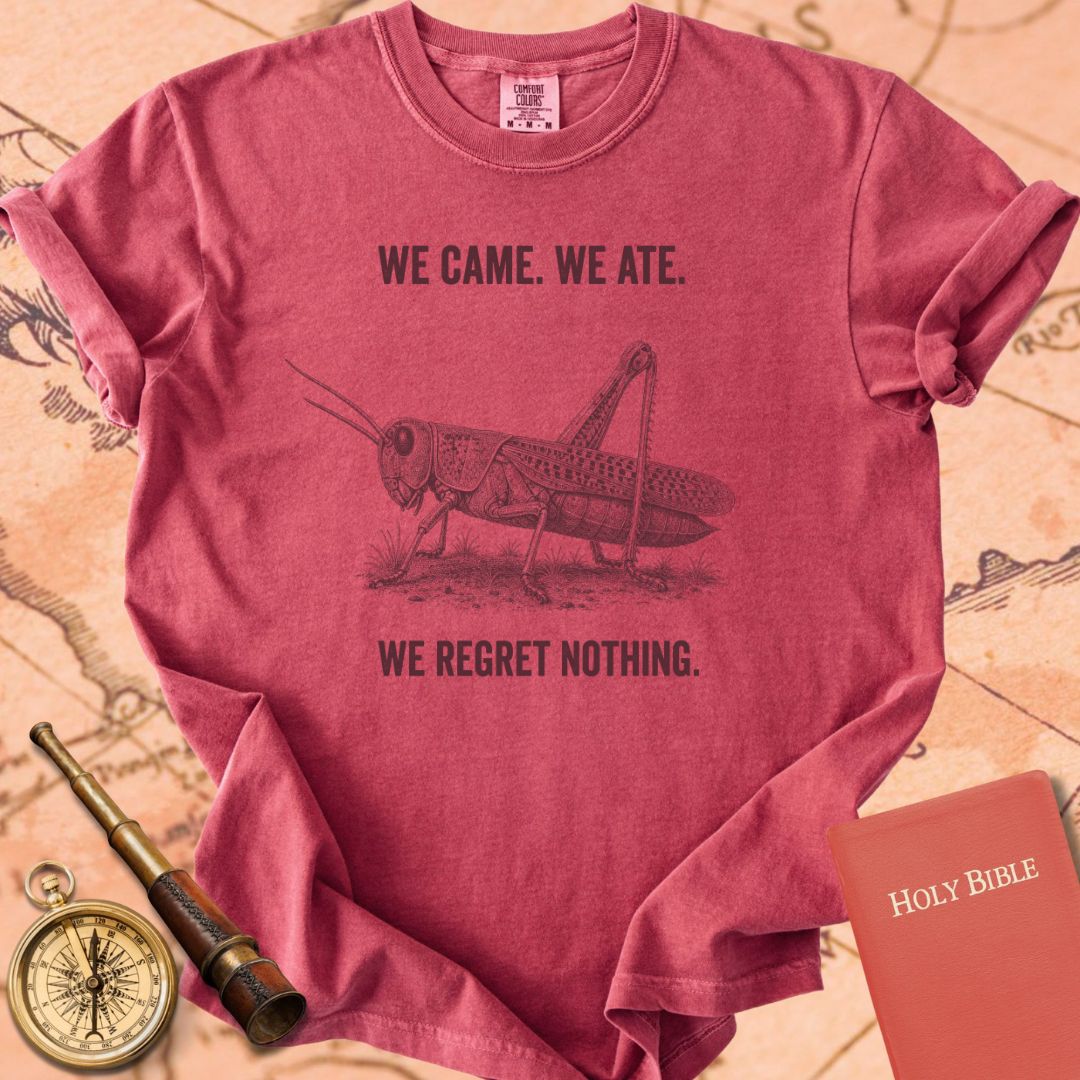 We Came We Ate We Regret Nothing Premium T-shirt