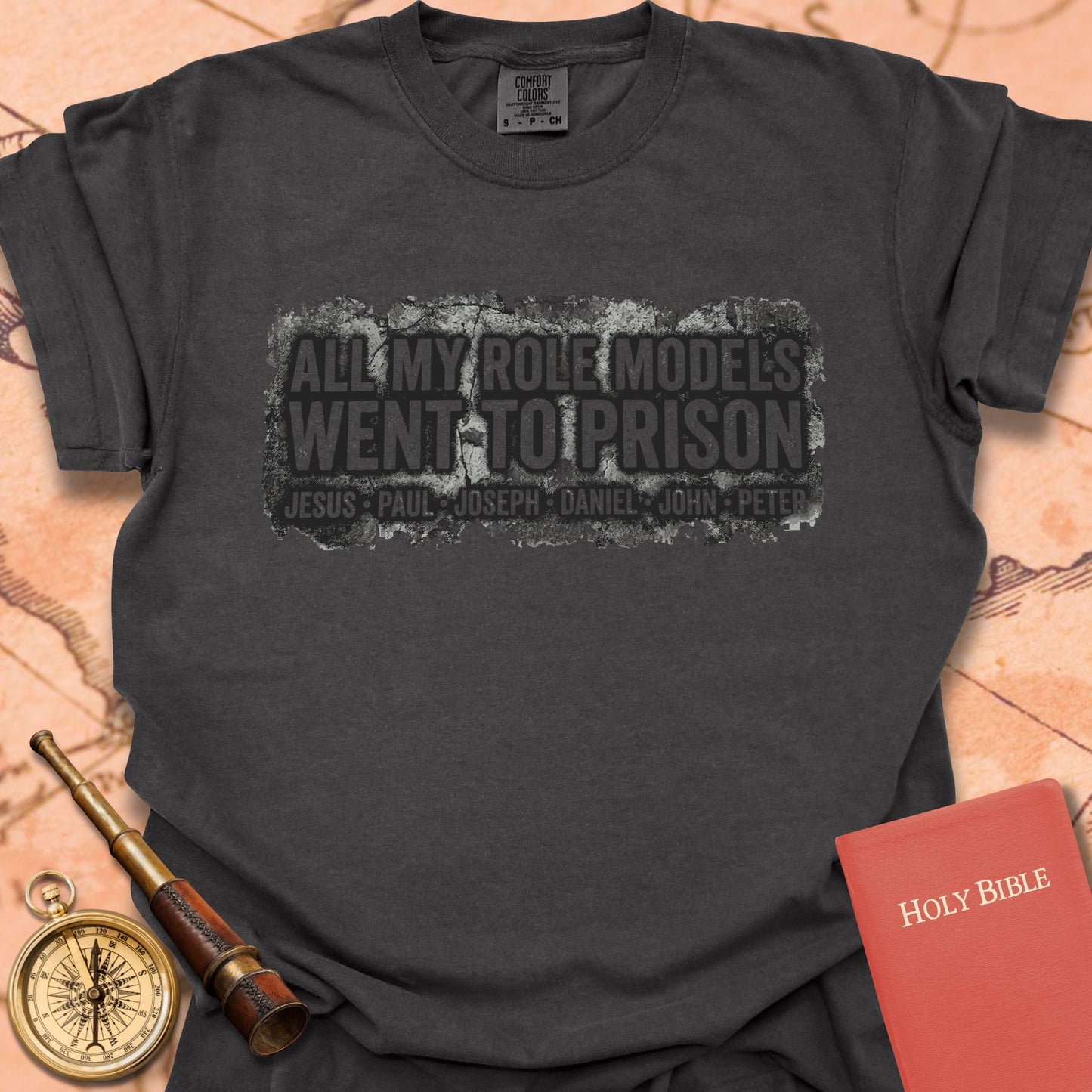 All My Role Models Went to Prison Premium T-shirt