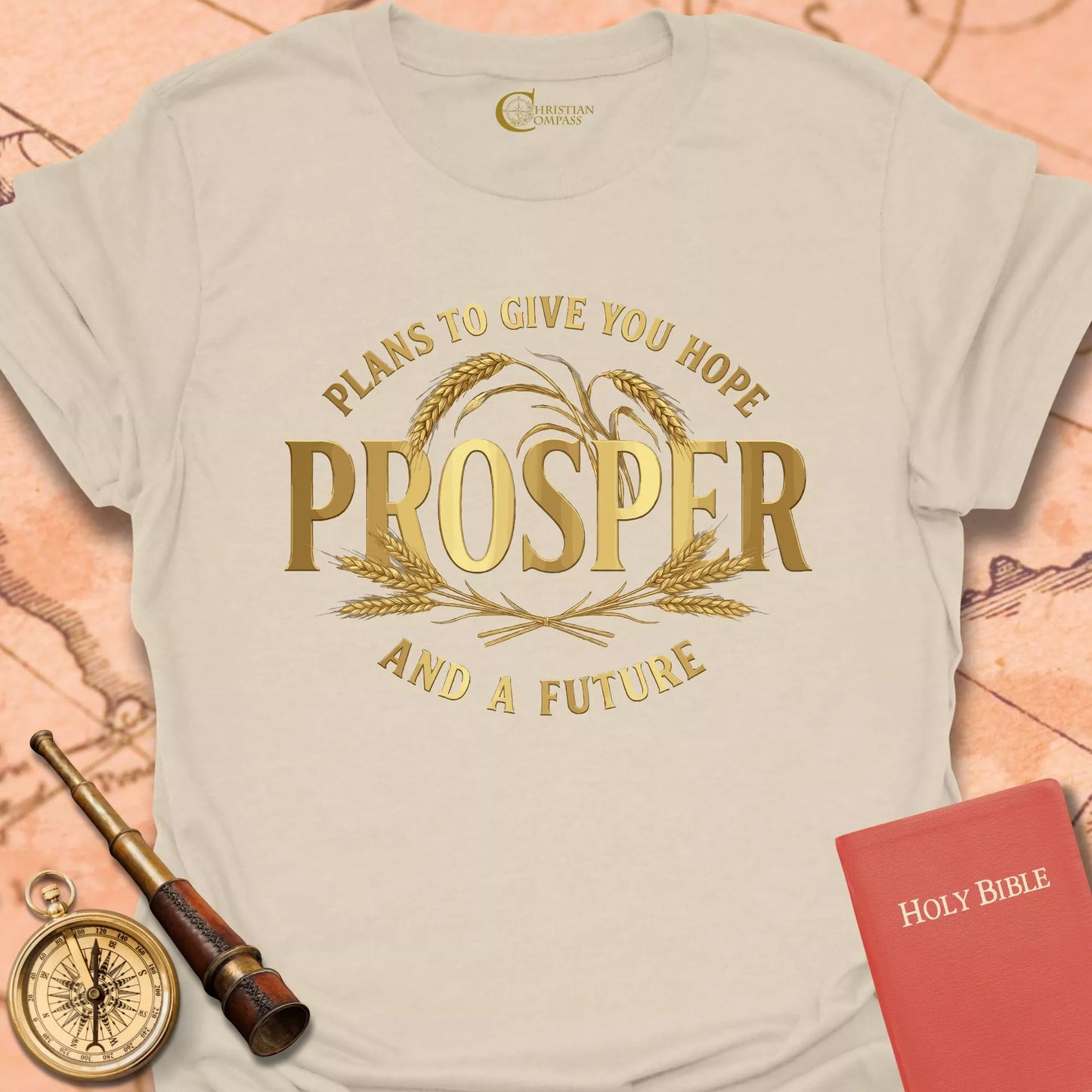 Prosper - Jeremiah 29:11 T-Shirt
