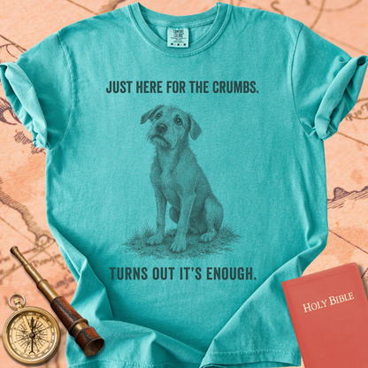 Just Here for the Crumbs (Turns Out It's Enough) Premium T-shirt