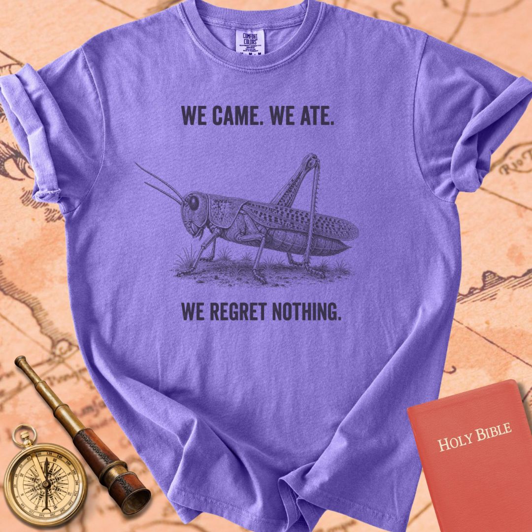 We Came We Ate We Regret Nothing Premium T-shirt