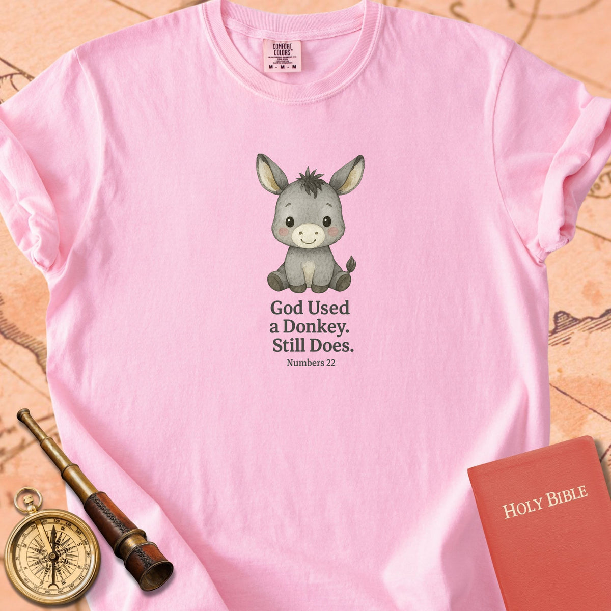 God Used a Donkey, Still Does — Cute Donkey Premium T-shirt — Blossom Comfort Colors