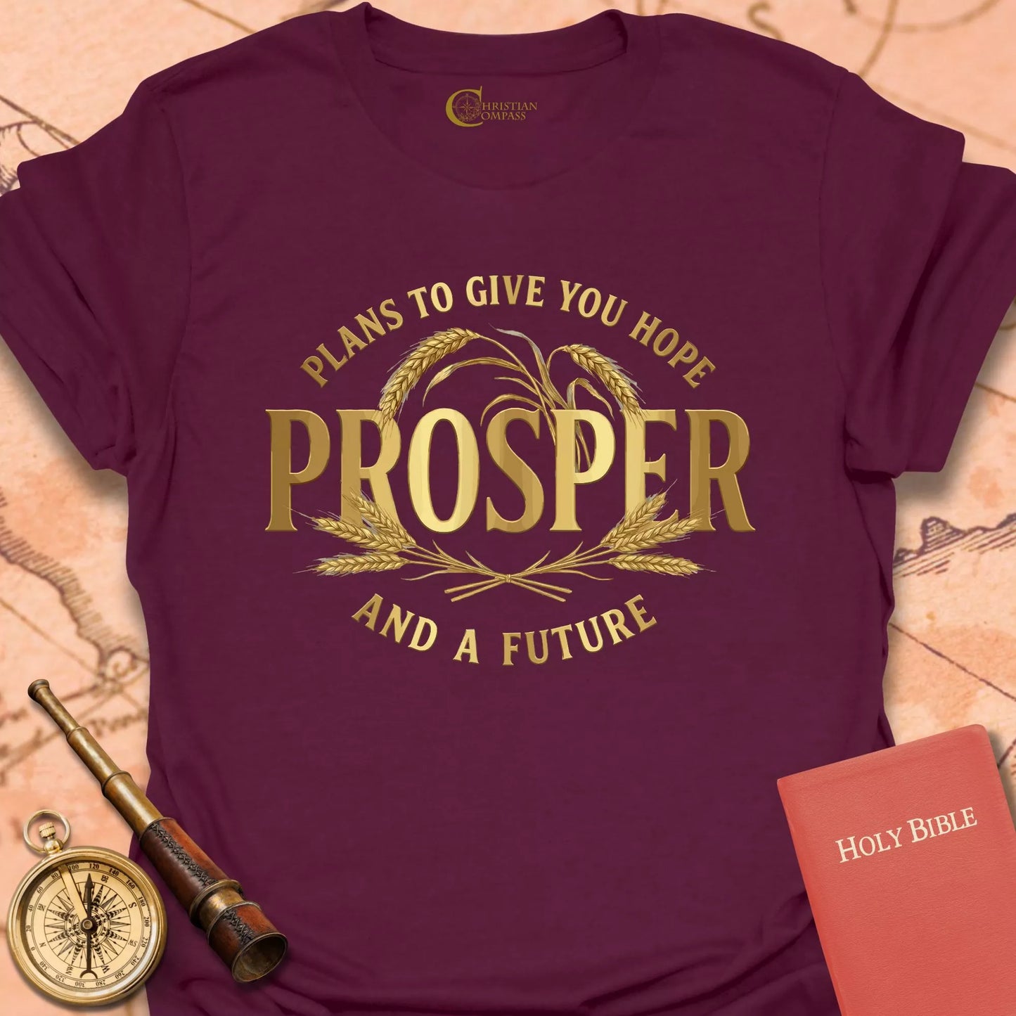 Prosper - Jeremiah 29:11 T-Shirt