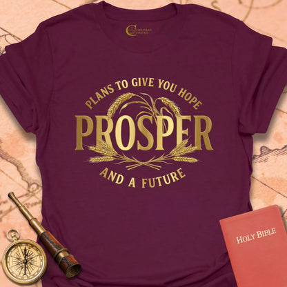 Prosper - Jeremiah 29:11 T-Shirt
