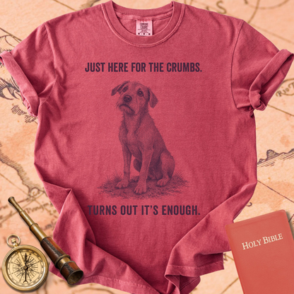 Just Here for the Crumbs (Turns Out It's Enough) Premium T-shirt
