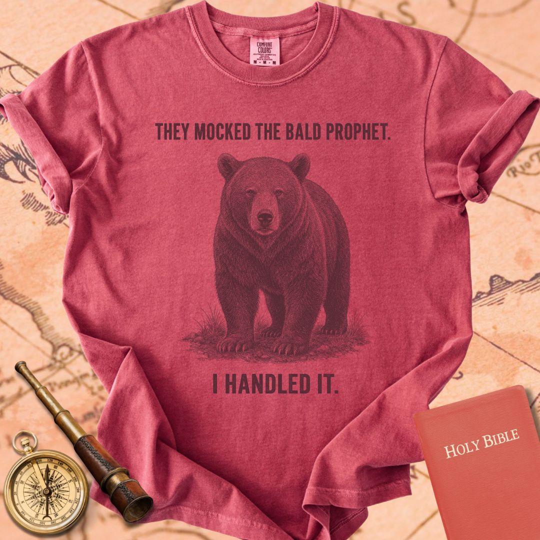 They Mocked the Bald Prophet (I Handled It) Premium T-shirt