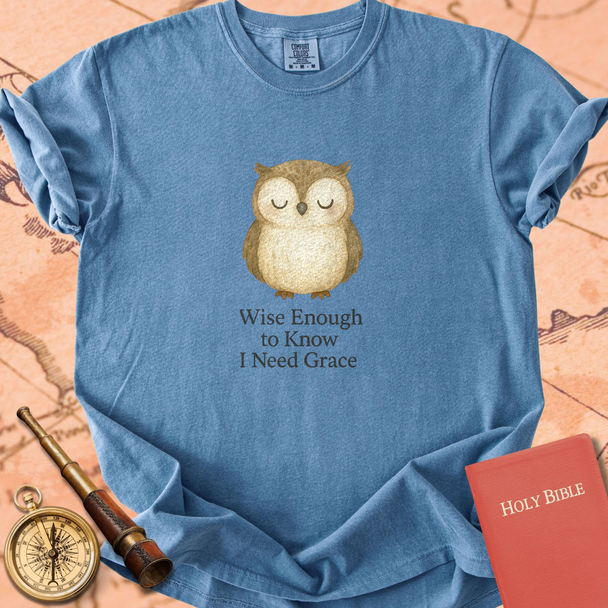 Wise Enough to Know I Need Grace — Cute Owl Premium T-shirt — Blue Jean Comfort Colors