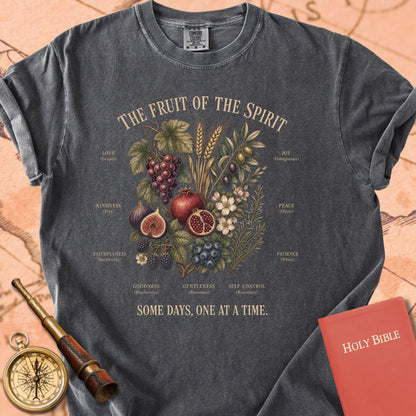 Fruit of the Spirit (Some Days, One at a Time) Premium T-shirt — Pepper