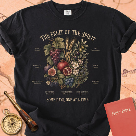 Fruit of the Spirit (Some Days, One at a Time) Premium T-shirt — Black