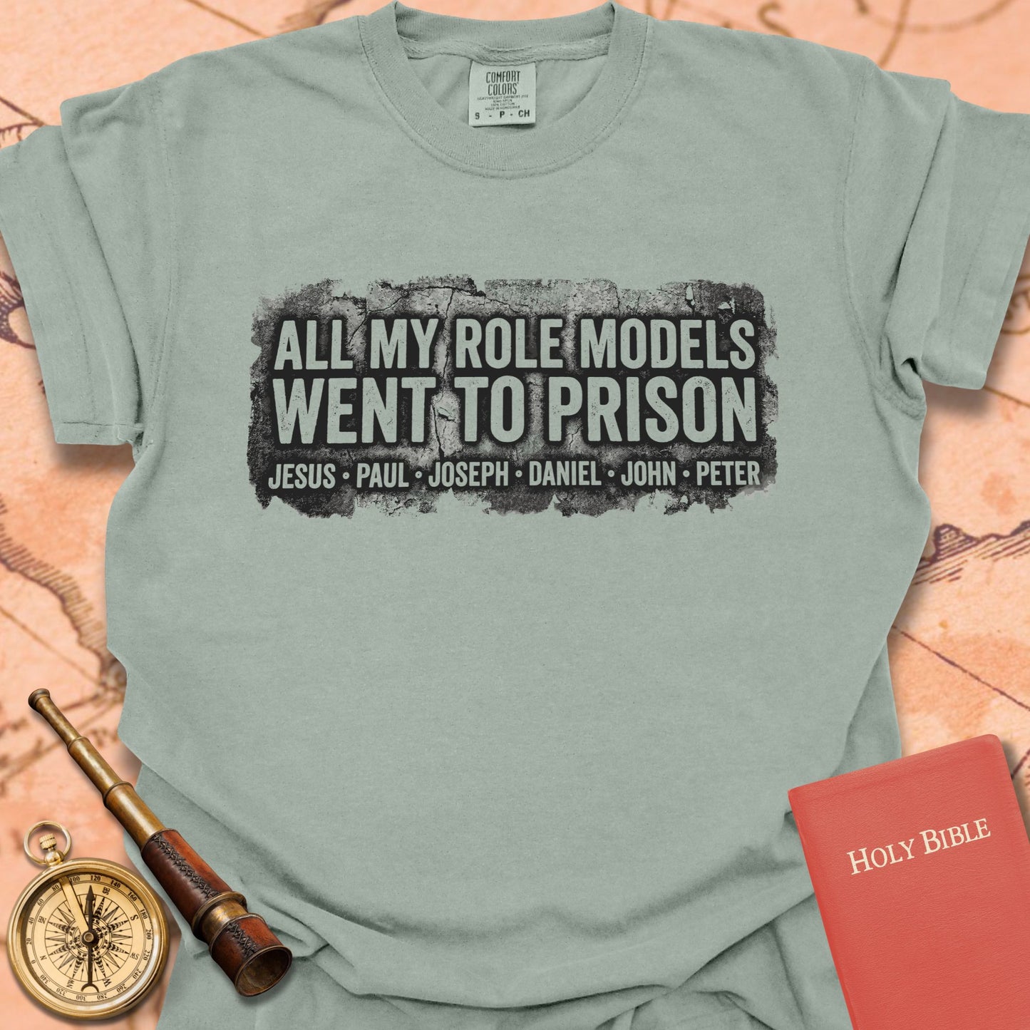 All My Role Models Went to Prison Premium T-shirt