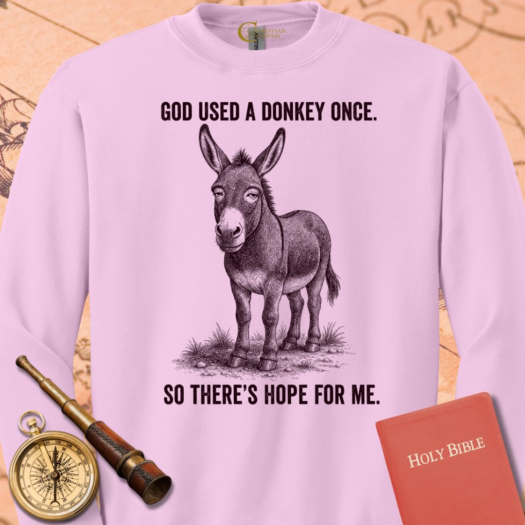 God Used a Donkey Once Sweatshirt