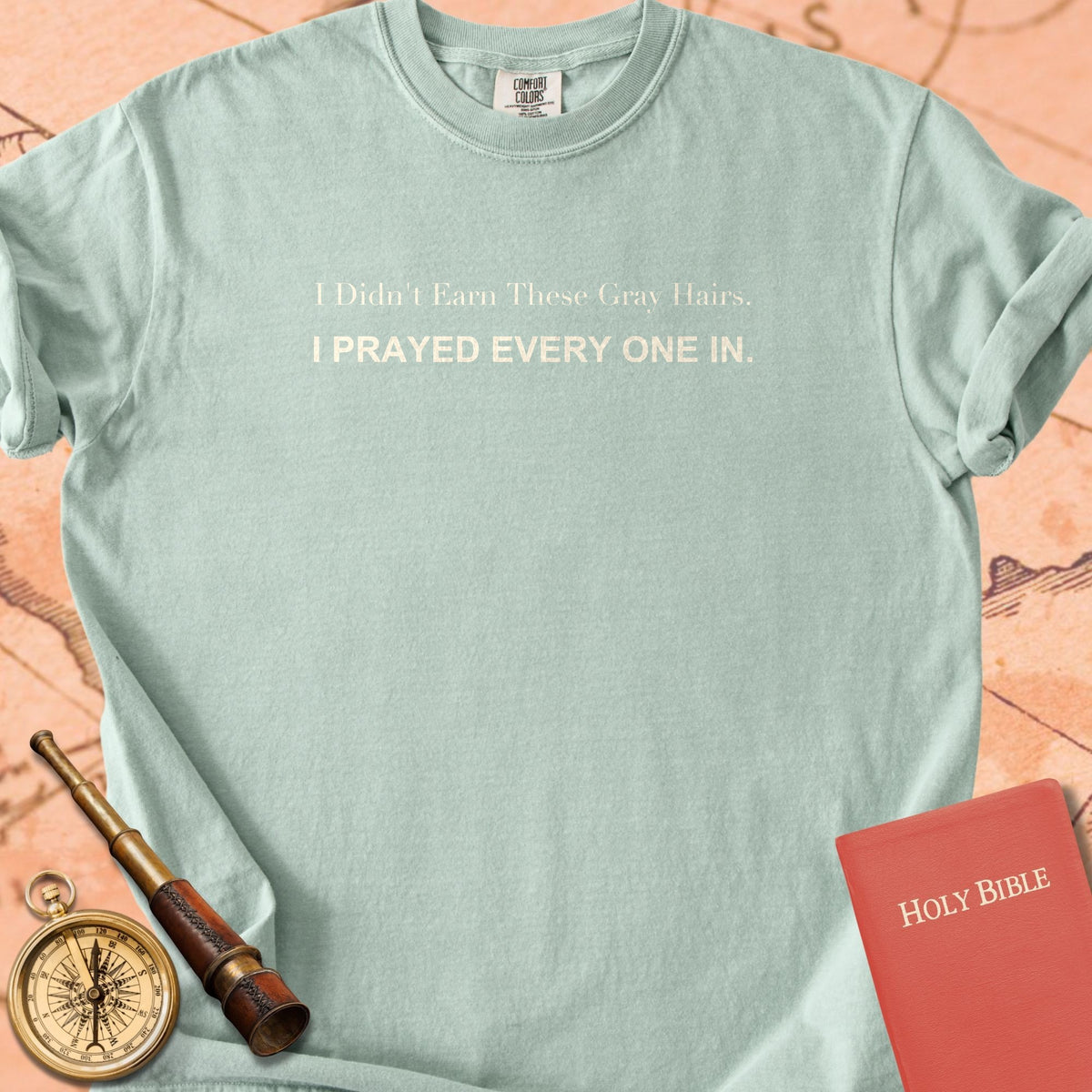 I Didn't Earn These Gray Hairs. I Prayed Every One In. Premium T-shirt