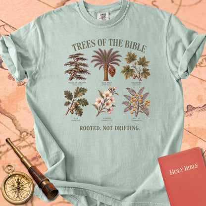 Trees of the Bible "Rooted. Not Drifting." | Psalm 92:12 Botanical Christian Tee