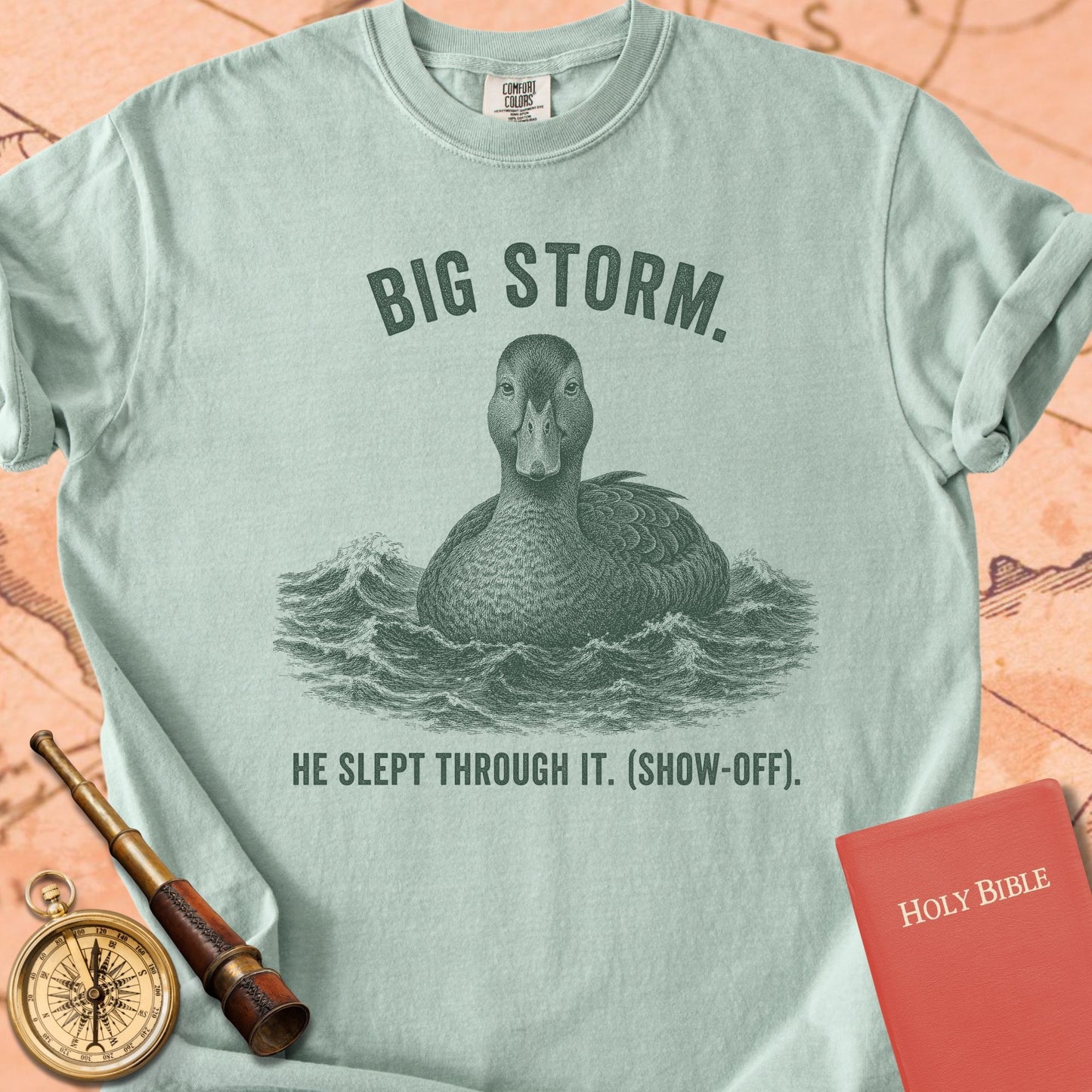 Big Storm. He Slept Through It. Premium T-shirt