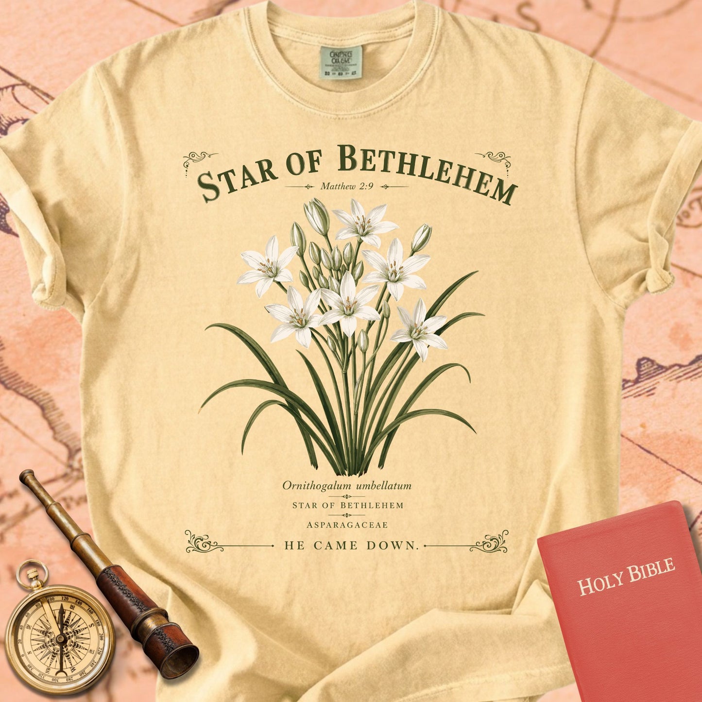 Star of Bethlehem — "He Came Down" Premium T-shirt