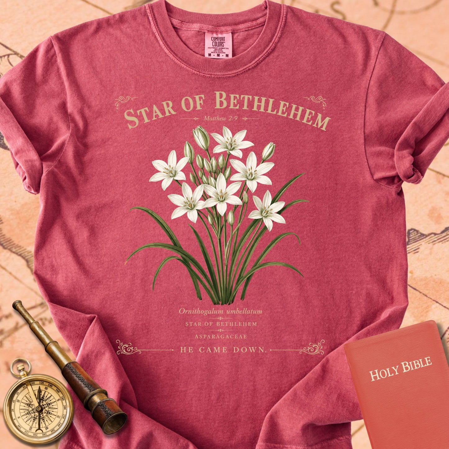 Star of Bethlehem — "He Came Down" Premium T-shirt