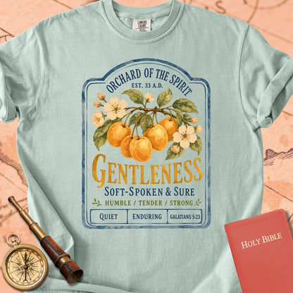 Gentleness — Fruit of the Spirit Premium T-shirt