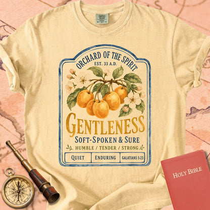 Gentleness — Fruit of the Spirit Premium T-shirt