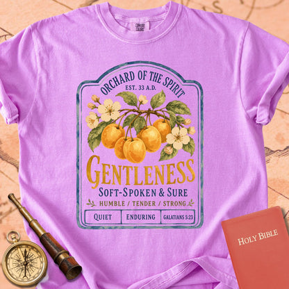 Gentleness — Fruit of the Spirit Premium T-shirt